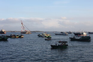 海上船只云集的繁忙景象