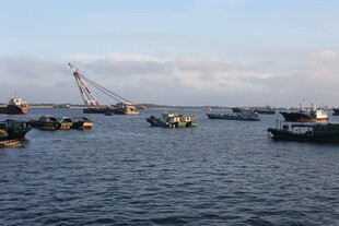 海港船只与起重机景象