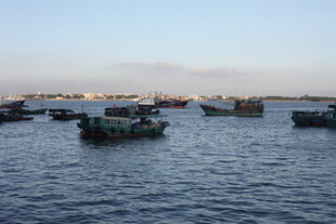 海上渔船群 宁静的景象