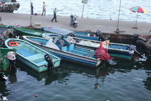 海边停泊的多彩渔船