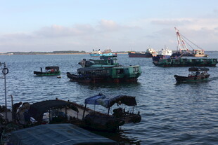 港口停泊的多艘大小船只