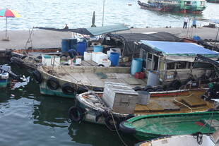 水上渔村停泊的多彩船只