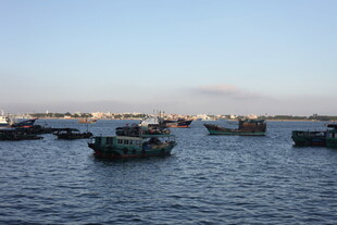 海上停泊的众多船只