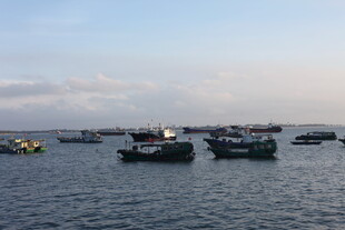 海上船只停泊景象