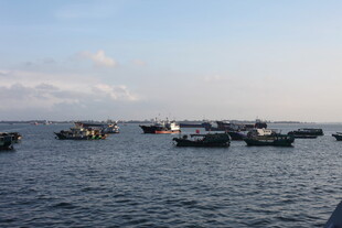 海上船只停泊景象