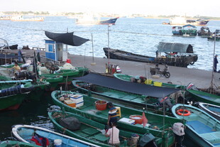 渔村码头的多彩渔船景象