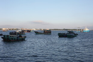 海上停泊的多艘船只