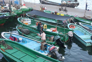 码头停泊的多彩渔船