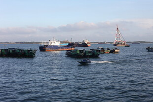 海上船只与养殖场景