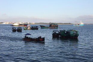 海上渔船群集景象