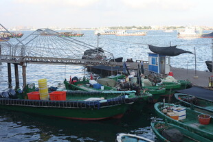 港口停泊的多彩渔船