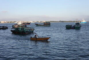 海上渔船景象