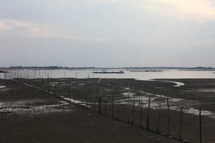 海边围栏处的开阔景致