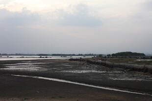 海边静谧滩涂风景