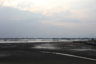 空旷公路与远处水域景观