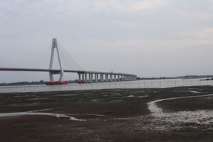 跨海大桥近景景观