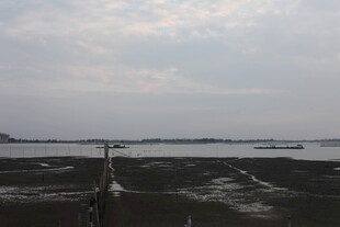 湿地风光 宁静的自然景致