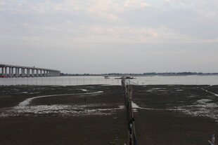 海边滩涂与远处桥梁景象