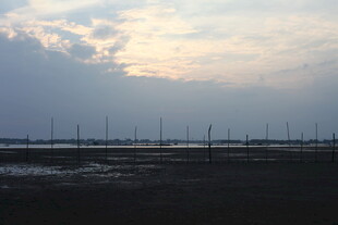 黄昏下的田野与林立电杆