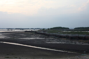 黄昏下的海边堤岸景观
