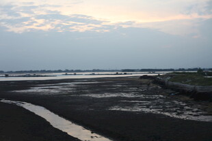 黄昏下的宁静河岸风光