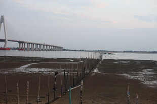 江边桥梁与滩涂风景