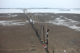 海边滩涂的风力发电设施