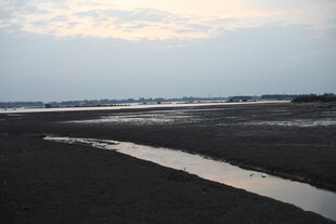 黄昏下的湿地浅滩景观