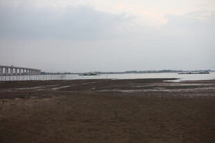 海边滩涂与远处桥梁景观