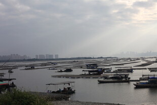 江边停泊船只的宁静景象