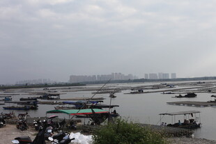 水上船只停泊的热闹场景