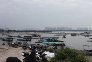 河畔船只停泊景象