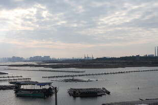 河畔停泊船只的宁静景象