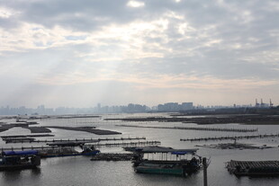 港口晨光下的停泊船只