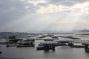 海上船只码头风景