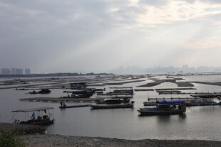 港口停泊船只景象