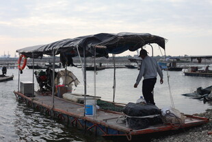 水上作业船 渔民忙碌身影