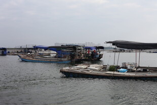 水上停泊的船只场景