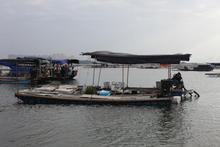 水上停泊的船只与浮台