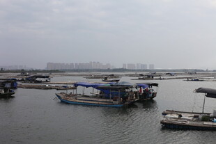 水上停泊的船只景观