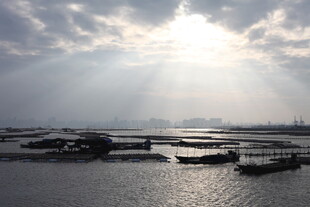 海上日出洒金波光粼粼