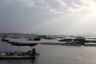 海上船只在光影下的景象