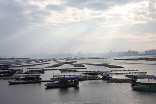 海港码头船只风景