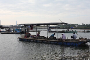 水上船只载众人航行