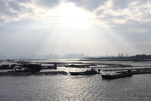 阳光照耀下的港口水域