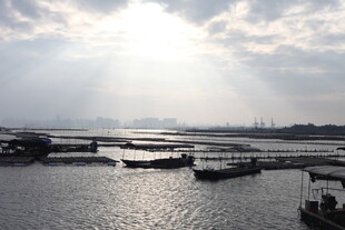 河畔船只沐浴于阳光之下