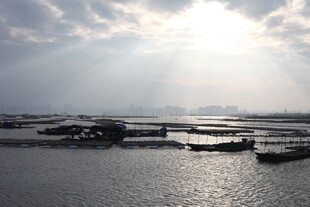 海上晨光中的船只与码头