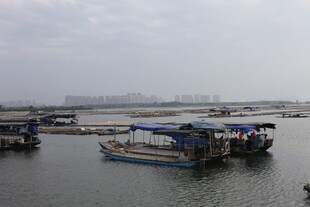 水上停泊的船只景观