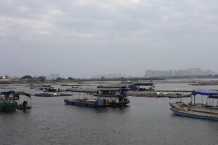 宁静港湾中的停泊船只