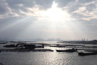 海上晨光中的船只与光影